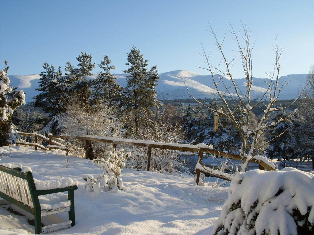 Cairngorm Lodge Youth Hostel Loch Morlich 外观 照片