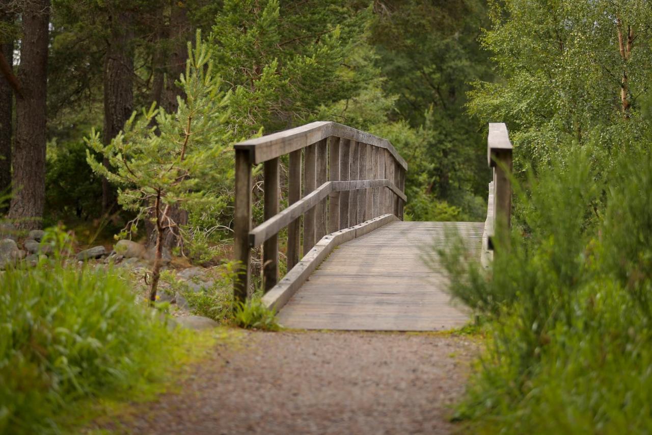 Cairngorm Lodge Youth Hostel Loch Morlich 外观 照片