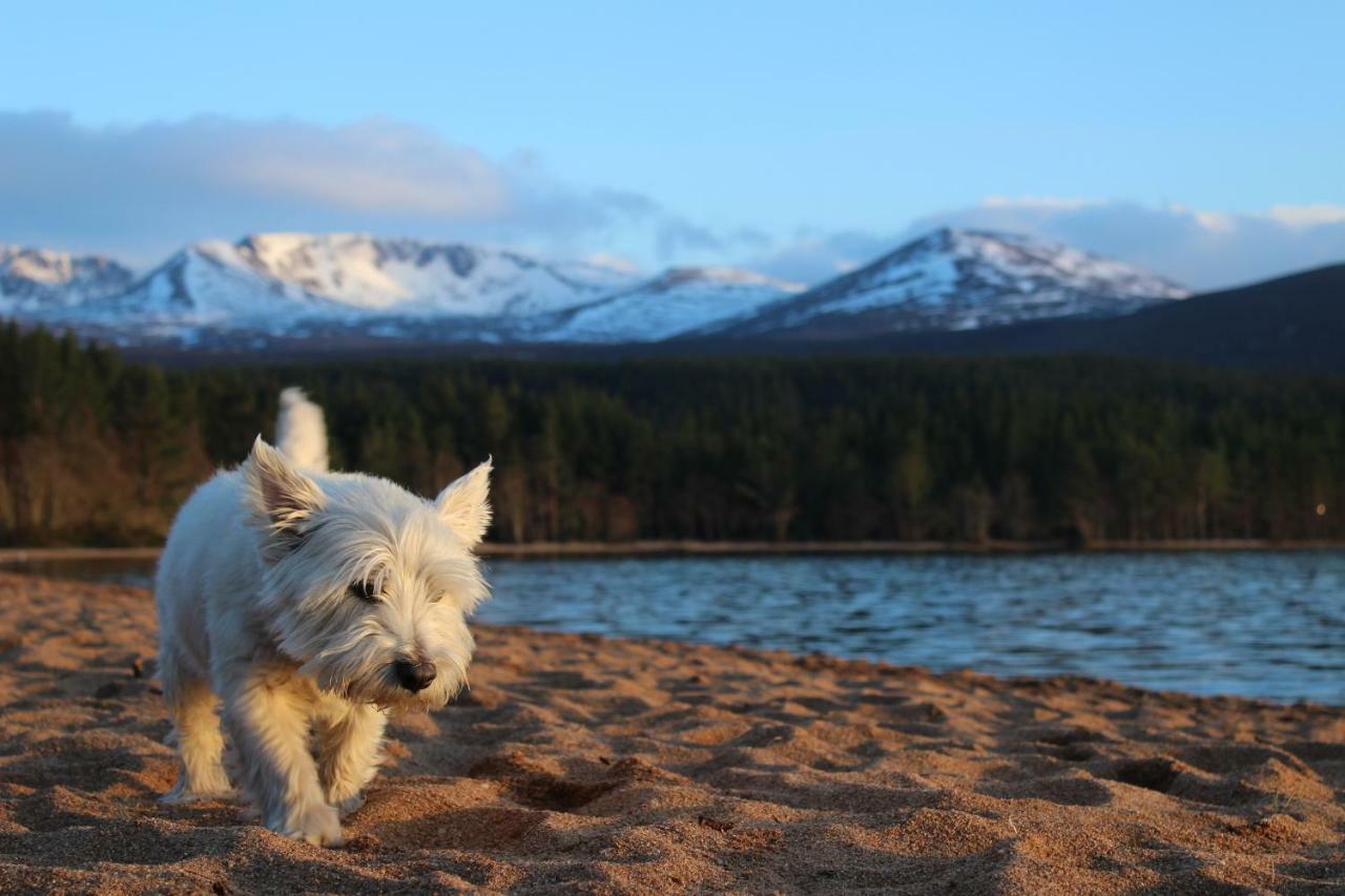 Cairngorm Lodge Youth Hostel Loch Morlich 外观 照片