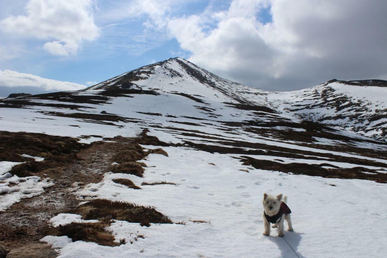 Cairngorm Lodge Youth Hostel Loch Morlich 外观 照片